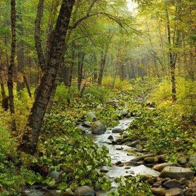 必博手机网页版app下载